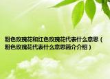 粉色玫瑰花和红色玫瑰花代表什么意思（粉色玫瑰花代表什么意思简介介绍）