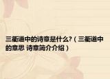 三衢道中的诗意是什么?（三衢道中的意思 诗意简介介绍）