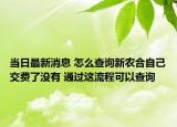 当日最新消息 怎么查询新农合自己交费了没有 通过这流程可以查询
