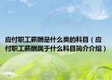 应付职工薪酬是什么类的科目（应付职工薪酬属于什么科目简介介绍）