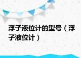 浮子液位计的型号（浮子液位计）
