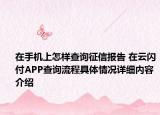 在手机上怎样查询征信报告 在云闪付APP查询流程具体情况详细内容介绍