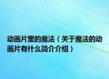 动画片里的魔法（关于魔法的动画片有什么简介介绍）