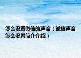 怎么设置微信的声音（微信声音怎么设置简介介绍）