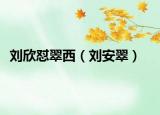 刘欣怼翠西（刘安翠）