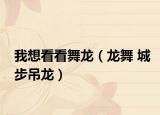 我想看看舞龙（龙舞 城步吊龙）