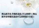 青山遮不住,毕竟东流去,什么意思?（青山遮不住毕竟东流去什么意思简介介绍）