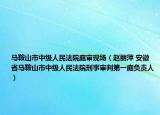 马鞍山市中级人民法院庭审现场（赵丽萍 安徽省马鞍山市中级人民法院刑事审判第一庭负责人）