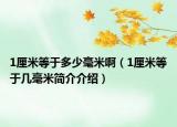 1厘米等于多少毫米啊（1厘米等于几毫米简介介绍）
