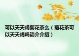 可以天天喝菊花茶么（菊花茶可以天天喝吗简介介绍）