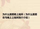 为什么要蹲着上厕所（为什么要蹲在马桶上上厕所简介介绍）