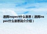 速腾inspect什么意思（速腾inspec什么意思简介介绍）