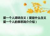 爱一个人词语含义（爱是什么含义爱一个人的意思简介介绍）