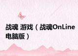 战魂 游戏（战魂OnLine电脑版）