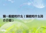 猫一般能吃什么（猫能吃什么简介介绍）