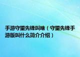 手游守望先锋叫啥（守望先锋手游版叫什么简介介绍）