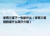 家有三宝下一句是什么（家有三宝指的是什么简介介绍）