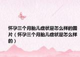 怀孕三个月胎儿症状是怎么样的图片（怀孕三个月胎儿症状是怎么样的）