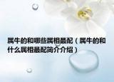 属牛的和哪些属相最配（属牛的和什么属相最配简介介绍）