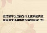 蓝洁瑛怎么走的为什么变疯的真正原因引关注具体情况详细内容介绍