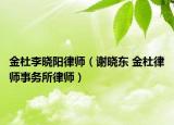 金杜李晓阳律师（谢晓东 金杜律师事务所律师）