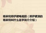 杨家将郑伊健电视剧（郑伊健演的杨家将叫什么名字简介介绍）