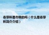 春芽杯是市级的吗（什么是春芽杯简介介绍）
