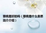 狼桃是好的吗（狼桃是什么意思简介介绍）