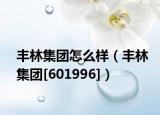 丰林集团怎么样（丰林集团[601996]）