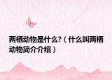 两栖动物是什么?（什么叫两栖动物简介介绍）