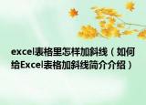excel表格里怎样加斜线（如何给Excel表格加斜线简介介绍）