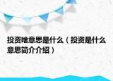投资啥意思是什么（投资是什么意思简介介绍）