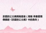 亲爱的公主病周维是谁（周维 青春爱情偶像剧《亲爱的公主病》中的角色）
