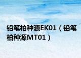铅笔柏种源EK01（铅笔柏种源MT01）