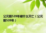公元前539年被什么灭亡（公元前539年）
