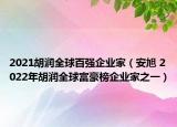 2021胡润全球百强企业家（安旭 2022年胡润全球富豪榜企业家之一）
