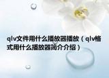 qlv文件用什么播放器播放（qlv格式用什么播放器简介介绍）