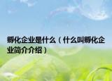 孵化企业是什么（什么叫孵化企业简介介绍）