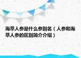 海萃人参是什么参别名（人参和海萃人参的区别简介介绍）