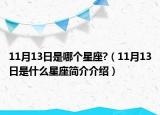 11月13日是哪个星座?（11月13日是什么星座简介介绍）
