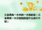 三全两高一大中的一大指的是（三全两高一大分别指的是什么简介介绍）