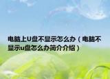 电脑上U盘不显示怎么办（电脑不显示u盘怎么办简介介绍）