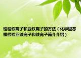 检验铁离子和亚铁离子的方法（化学里怎样检验亚铁离子和铁离子简介介绍）