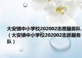 大安镇中小学校202002志愿服务队（大安镇中小学校202002志愿服务队）