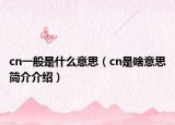 cn一般是什么意思（cn是啥意思简介介绍）