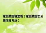 轮毂数据哪里看（轮毂数据怎么看简介介绍）