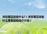 洋甘菊花语是什么?（洋甘菊花语是什么寓意是啥简介介绍）