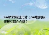 cad咋样标注尺寸（cad如何标注尺寸简介介绍）