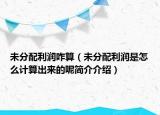 未分配利润咋算（未分配利润是怎么计算出来的呢简介介绍）