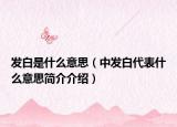 发白是什么意思（中发白代表什么意思简介介绍）